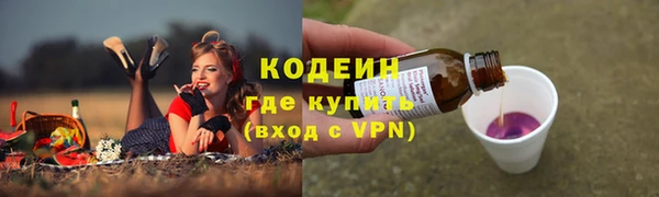 бошки Вяземский