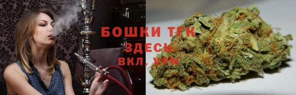 стаф Покачи