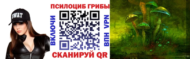 купить закладку  Нижневартовск  Псилоцибиновые грибы MAGIC MUSHROOMS 