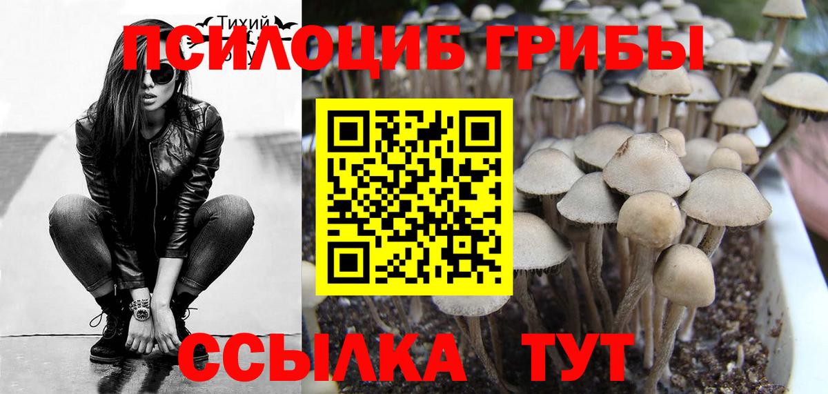 Псилоцибиновые грибы Magic Shrooms  где продают наркотики  Нижневартовск  Вход с VPN  Псилоцибиновые грибы Psilocybe 