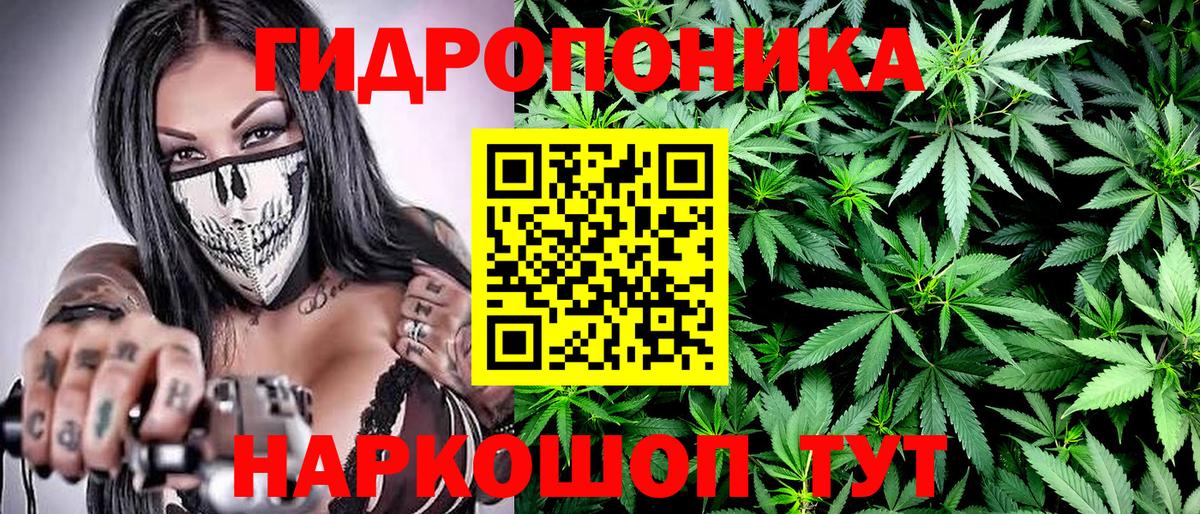 Конопля сатива Нижневартовск